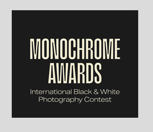 Fotograf für Aktfotografie und Boudoirfotos mit Auszeichnungen Awards Fotostudio Wien Linz Graz Fotoshootings