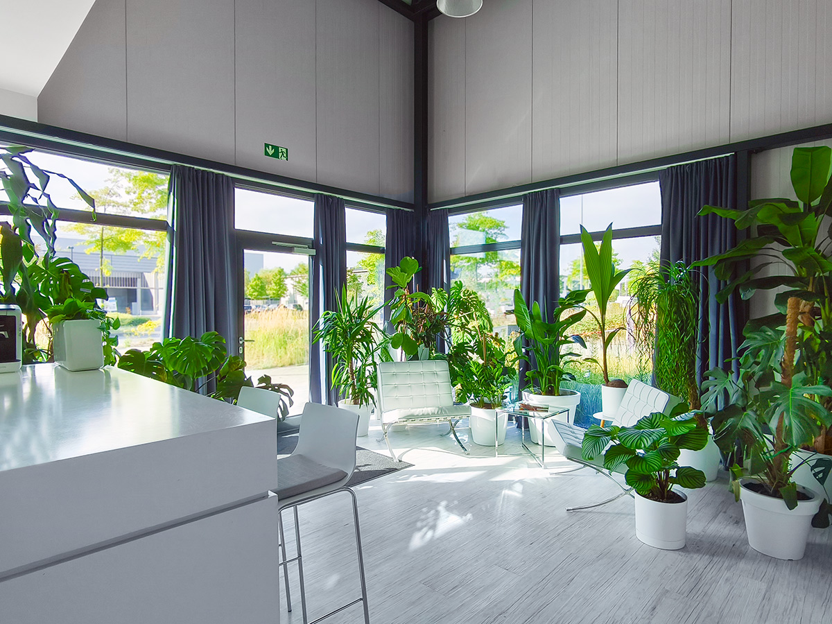 Boudoirfotos Akt Fotoshooting - Wien - Salzburg - Graz - Klagenfurt Fotostudio